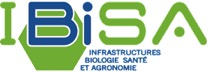 IBISA