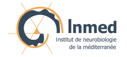 Inmed